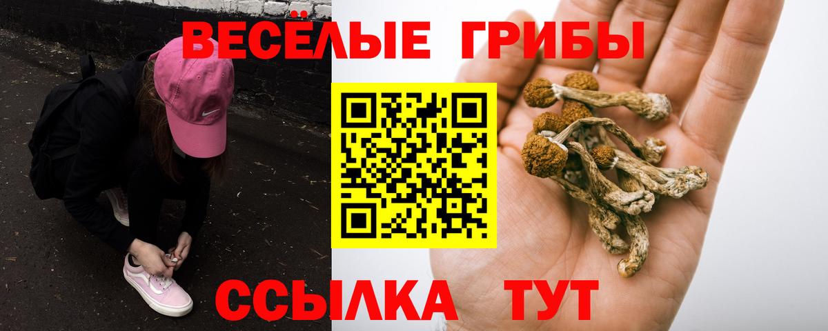 Галлюциногенные грибы MAGIC MUSHROOMS  Вход с VPN  Чапаевск  Псилоцибиновые грибы Psilocybe 