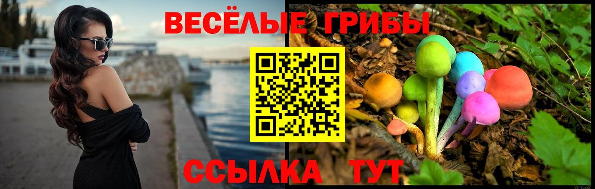 Галлюциногенные грибы Psilocybine cubensis Чапаевск